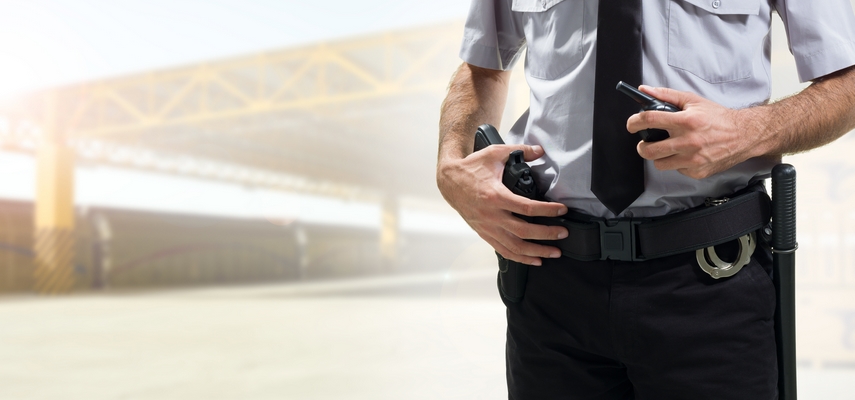 Физическая охрана: виды, плюсы и минусы, организация и особенности работы