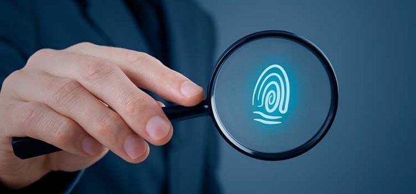 Детективные услуги: виды и порядок оказания