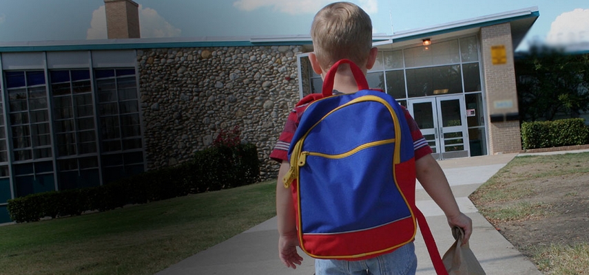 Особенности организации охраны школ